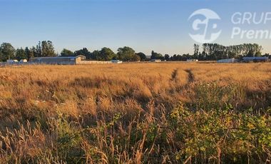 Parcela en Venta en Ruta 199, Freire a Villarrica