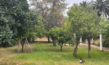 Excelente Terreno para Construcción y desarrollo
