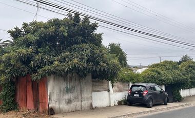 Excelente Terreno para Construcción y desarrollo