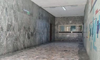 Guanajuato y Jalapa luminoso, remodelado, amueblado