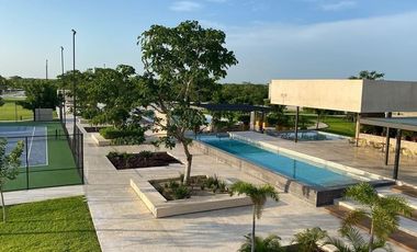 TERRENO RESIDENCIAL NORTE MERIDA  DZIDZIL HA VENTA