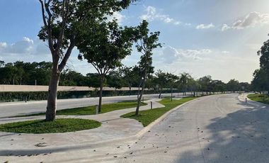 TERRENO RESIDENCIAL NORTE MERIDA  DZIDZIL HA VENTA