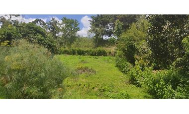 LOTE EN VENTA EN PIEDECUESTA SANTANDER.