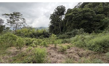 VENTA DE FINCA EN SALENTO, QUINDO, COLOMBIA