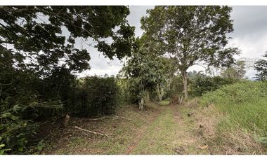 VENTA DE FINCA EN SALENTO, QUINDO, COLOMBIA