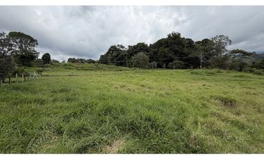 VENTA DE FINCA EN SALENTO, QUINDO, COLOMBIA