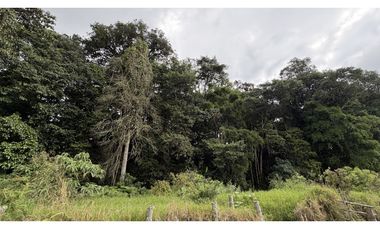 VENTA DE FINCA EN SALENTO, QUINDO, COLOMBIA