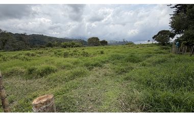 VENTA DE FINCA EN SALENTO, QUINDO, COLOMBIA