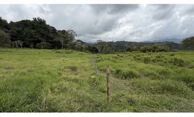 VENTA DE FINCA EN SALENTO, QUINDO, COLOMBIA