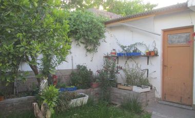 Venta Casa 5 dormitorios La Consulta Valle de Uco