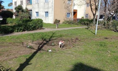 Dpto. venta, 3 dormitorios, Ezpeleta, Quilmes