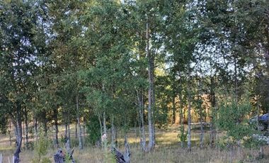 Agrícola en Venta en Lliu Lliu A y b, HUISCAPI