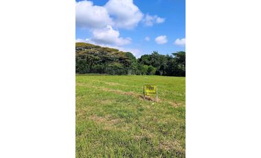 Lote via a Jamundi potrerito de 10 x39
