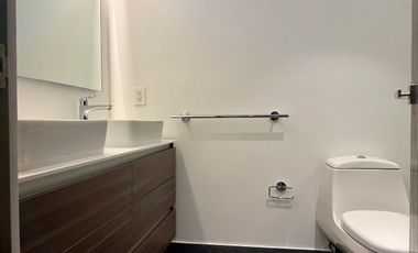 RENTA DEPARTAMENTO EN AMPLIACIÓN GRANADA (NUEVO POLANCO)