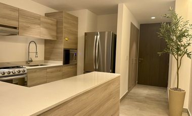 RENTA DEPARTAMENTO EN AMPLIACIÓN GRANADA (NUEVO POLANCO)