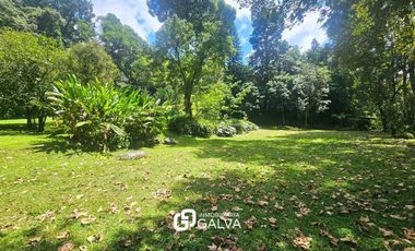 Propiedad en Venta La Pitaya Coatepec