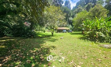 Propiedad en Venta La Pitaya Coatepec