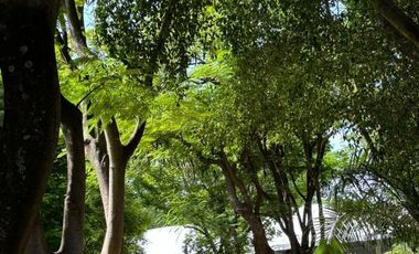 Quinta Comercial UNICA en Venta Xochitepec Morelos