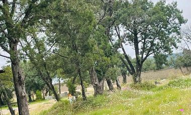 Terrenos Residenciales en Preventa en Tlaxcala