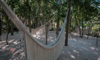 RENTA A LARGO PLAZO EN TULUM- LONG TERM RENTAL TULUM