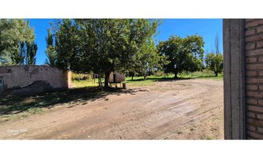 VENTA FINCA VERSATIL 64 HAS EN CALLE LAS ROSAS, LA CENTRAL, RIVADAVIA