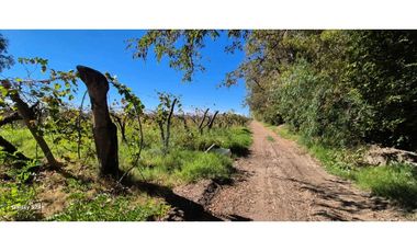 VENTA FINCA VERSATIL 64 HAS EN CALLE LAS ROSAS, LA CENTRAL, RIVADAVIA