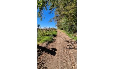VENTA FINCA VERSATIL 64 HAS EN CALLE LAS ROSAS, LA CENTRAL, RIVADAVIA