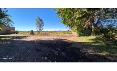 VENTA FINCA VERSATIL 64 HAS EN CALLE LAS ROSAS, LA CENTRAL, RIVADAVIA