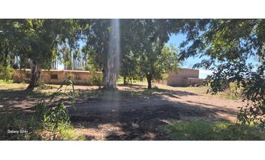 VENTA FINCA VERSATIL 64 HAS EN CALLE LAS ROSAS, LA CENTRAL, RIVADAVIA