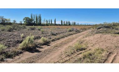 VENTA FINCA VERSATIL 64 HAS EN CALLE LAS ROSAS, LA CENTRAL, RIVADAVIA