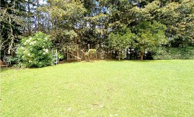 Venta de finca en El Carmen de Viboral - Vd La Palma