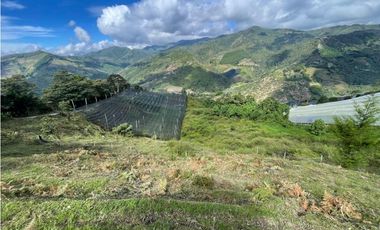 Venta de Lote Rural- El Retiro Antioquia - Vereda Pantalio