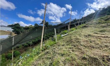 Venta de Lote Rural- El Retiro Antioquia - Vereda Pantalio