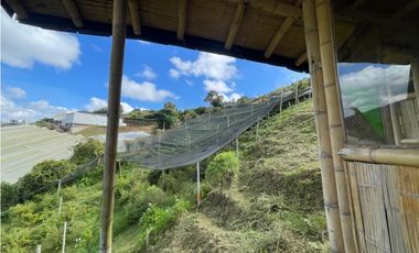 Venta de Lote Rural- El Retiro Antioquia - Vereda Pantalio