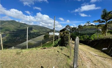 Venta de Lote Rural- El Retiro Antioquia - Vereda Pantalio