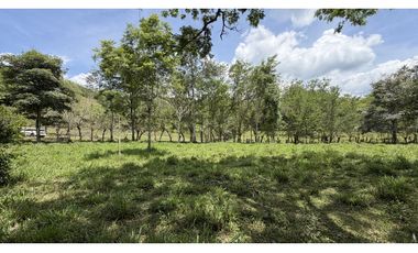 VENTA DE FINCA EN MONTENEGRO, QUINDO, COLOMBIA