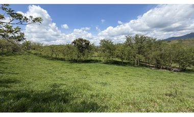 VENTA DE FINCA EN MONTENEGRO, QUINDO, COLOMBIA