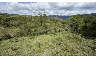 VENTA DE FINCA EN MONTENEGRO, QUINDO, COLOMBIA