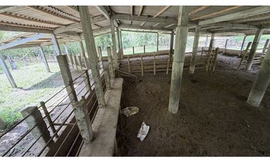 VENTA DE FINCA EN MONTENEGRO, QUINDO, COLOMBIA
