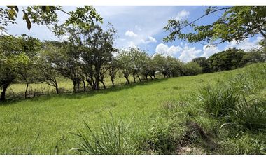 VENTA DE FINCA EN MONTENEGRO, QUINDO, COLOMBIA