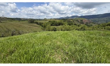 VENTA DE FINCA EN MONTENEGRO, QUINDO, COLOMBIA