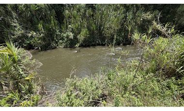 VENTA DE FINCA EN MONTENEGRO, QUINDO, COLOMBIA