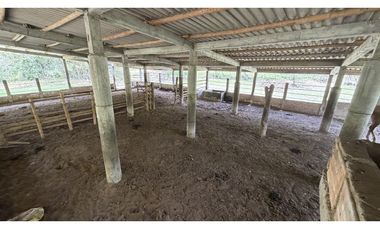 VENTA DE FINCA EN MONTENEGRO, QUINDO, COLOMBIA
