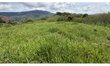 VENTA DE FINCA EN MONTENEGRO, QUINDO, COLOMBIA