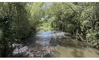 VENTA DE FINCA EN MONTENEGRO, QUINDO, COLOMBIA