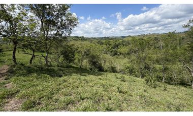 VENTA DE FINCA EN MONTENEGRO, QUINDO, COLOMBIA