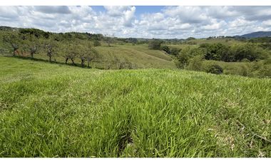 VENTA DE FINCA EN MONTENEGRO, QUINDO, COLOMBIA