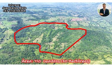 VENTA DE FINCA EN MONTENEGRO, QUINDO, COLOMBIA