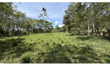VENTA DE FINCA EN MONTENEGRO, QUINDO, COLOMBIA