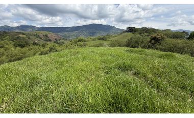 VENTA DE FINCA EN MONTENEGRO, QUINDO, COLOMBIA